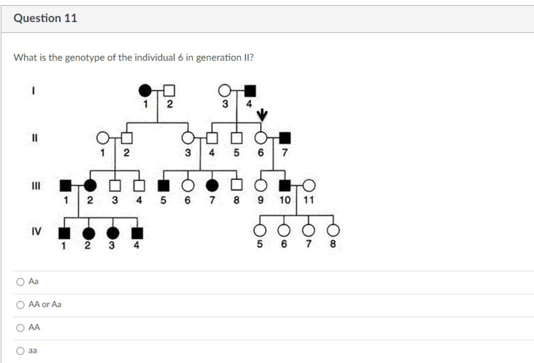 Question 11
What is the genotype of the individual 6 in generation II?
1
3
3
4
II
1
3
4
5
8
9.
10
11
IV
3
4
7
O Aa
O AA or Aa
O AA
aa
