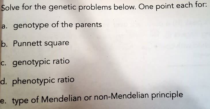 Solve for the genetic problems below. One point each for:
a. genotype of the parents
b. Punnett square
C. genotypic ratio
d. phenotypic ratio
e. type of Mendelian or non-Mendelian principle
