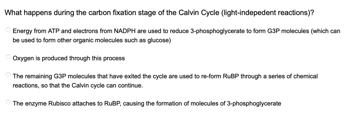What happens during the carbon fixation stage of the Calvin Cycle (light-indepedent reactions)?
Energy from ATP and electrons from NADPH are used to reduce 3-phosphoglycerate to form G3P molecules (which can
be used to form other organic molecules such as glucose)
Oxygen is produced through this process
The remaining G3P molecules that have exited the cycle are used to re-form RuBP through a series of chemical
reactions, so that the Calvin cycle can continue.
The enzyme Rubisco attaches to RuBP, causing the formation of molecules of 3-phosphoglycerate