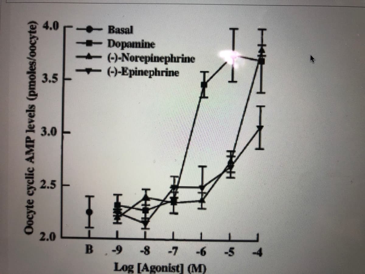 4.0
Basal
Dopamine
(-)-Norepinephrine
()-Epinephrine
3.5
3.0
2.5
2.0
B.9-8 -7
-6
-5
-4
Log [Agonist] (M)
Oocyte cyclic AMP levels (pmoles/oocyte)
920
