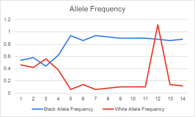 1.2
1
0.8
0.6
0.4
0.2
0
1 2 3
Allele Frequency
A
4 5 6 7 8 9 10 11
Black Allele Frequency
12
-White Allele Frequency
13 14
