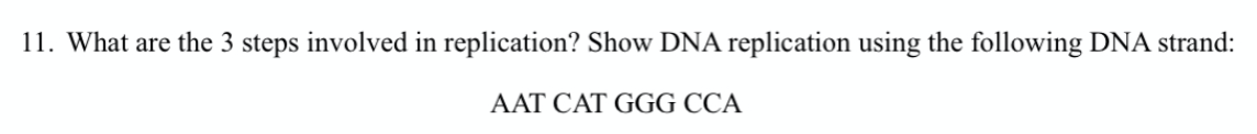 11. What are the 3 steps involved in replication? Show DNA replication using the following DNA strand:
AAT CAT GGG CCA
