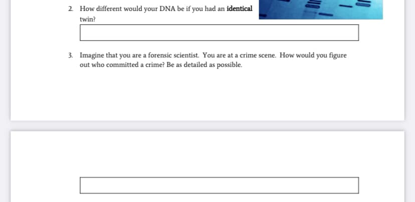 2. How different would your DNA be if you had an identical
twin?
3. Imagine that you are a forensic scientist. You are at a crime scene. How would you figure
out who committed a crime? Be as detailed as possible.
