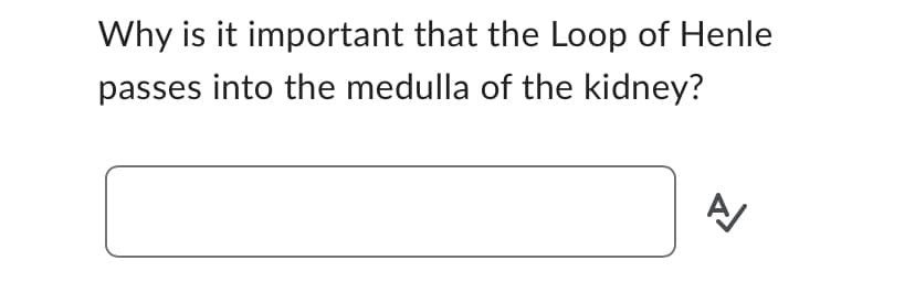 Why is it important that the Loop of Henle
passes into the medulla of the kidney?
신