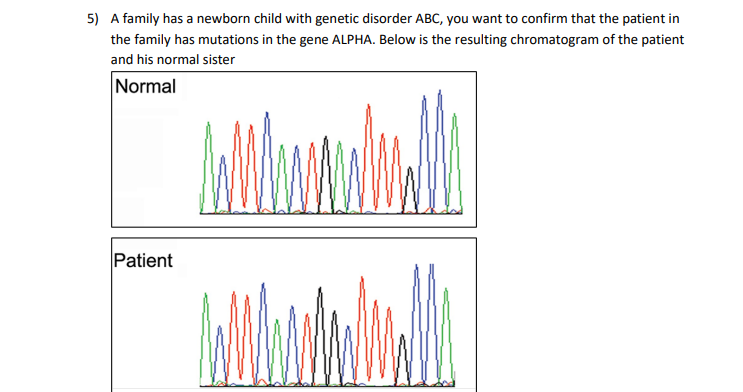 5) A family has a newborn child with genetic disorder ABC, you want to confirm that the patient in
the family has mutations in the gene ALPHA. Below is the resulting chromatogram of the patient
and his normal sister
Normal
Patient
