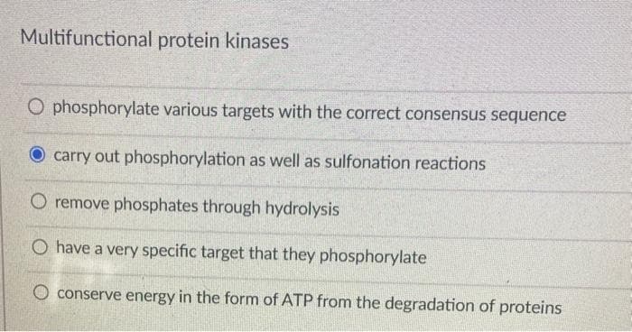Multifunctional protein kinases
O phosphorylate various targets with the correct consensus sequence
carry out phosphorylation as well as sulfonation reactions
O remove phosphates through hydrolysis
O have a very specific target that they phosphorylate
conserve energy in the form of ATP from the degradation of proteins