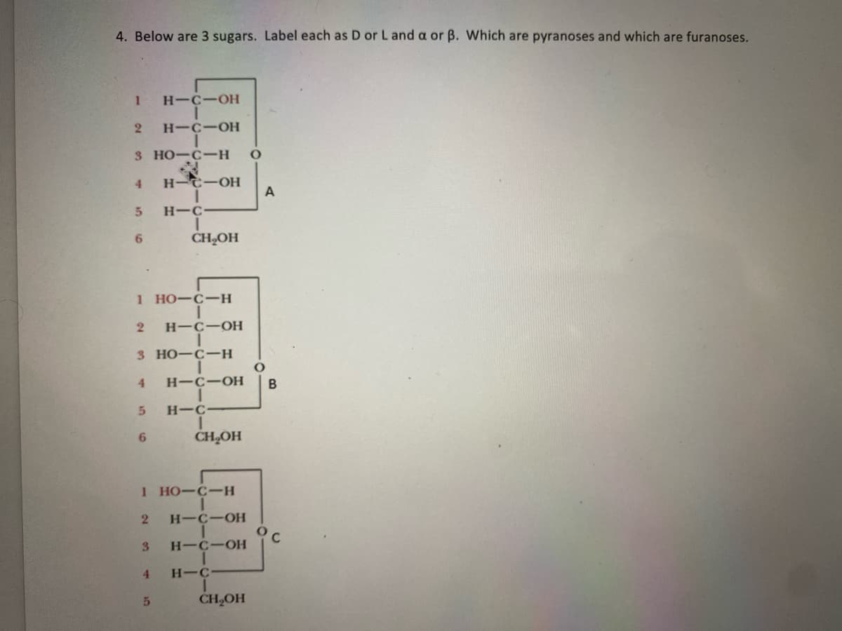 4. Below are 3 sugars. Label each as D or L and a or ß. Which are pyranoses and which are furanoses.
1 H-C-OH
H-C-OH
3 HO-C-H O
4 H-C-OH
2
10
5
6
1 HO-C-H
2 H-C-OH
I
3 HO-C-H
10
4 H-C-OH
T
H-C-
5
6
H-C
3
CH₂OH
4
1 HO-C-H
2 H-C-OH
H-C-OH
5
CH₂OH
H-C
CH₂OH
A
O
B
oc