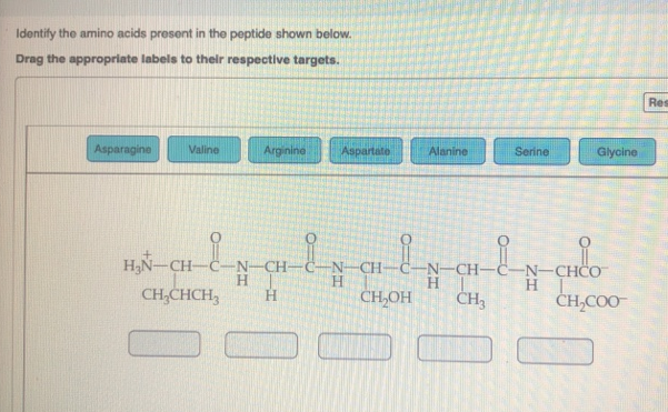 HN-CH-
H
H.
CH,CHCH,
-C-N-CH–C–N–CH-C-N-CH-C–N–CHËO
H
H
ČH-COO
H.
CH,OH
CH3
