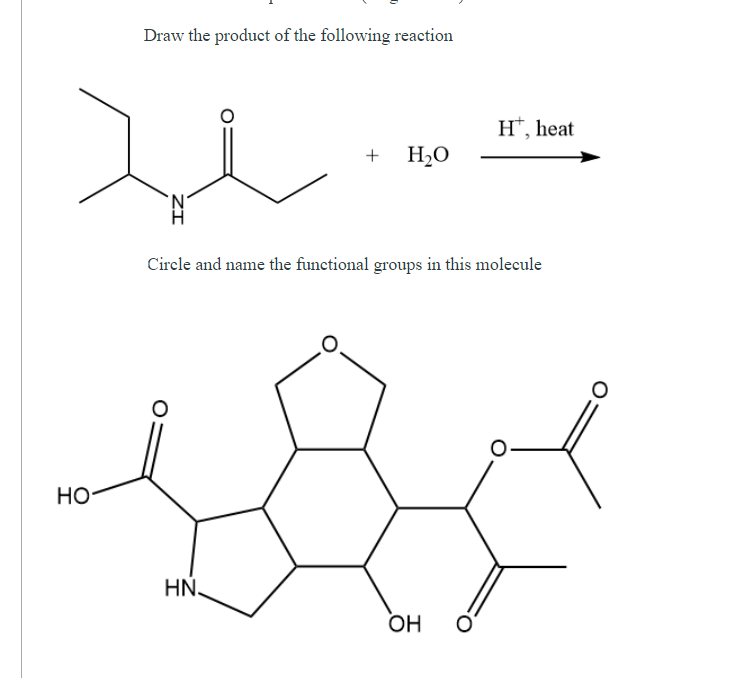 Draw the product of the following reaction
H*, heat
+ H2O
Circle and name the functional groups in this molecule
Но
HN,
OH
