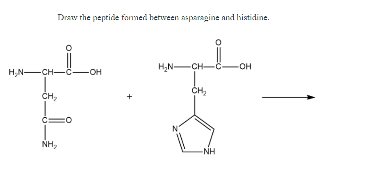 Draw the peptide formed between asparagine and histidine.
H,N-
-CH-C-OH
H,N-CH-ċ-OH
ČH2
ČH,
N°
NH2
-NH
+
