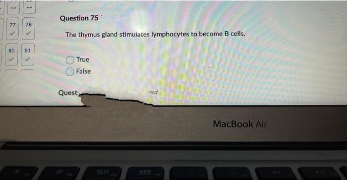 Question 75
77
78
The thymus gland stimulates lymphocytes to become B cells.
80
81
True
False
Quest
vnd
MacBook Air
