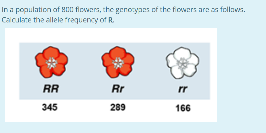 In a population of 800 flowers, the genotypes of the flowers are as follows.
Calculate the allele frequency of R.
RR
Rr
rr
345
289
166
