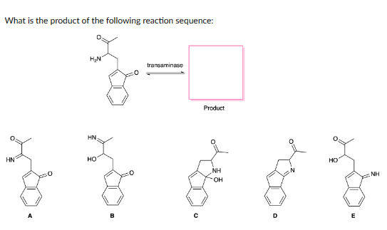 What is the product of the following reaction sequence:
HN
H₂N
HN
HO
B
transaminase
Product
NH
OH
HO
E
NH
