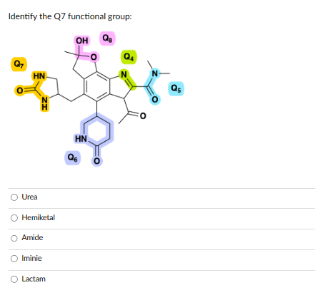 Identify the Q7 functional group:
OH Q₁
Q7
HN
Urea
ZH
N
Hemiketal
Amide
Iminie
Lactam
HN
Q6
N
N-
Q5
