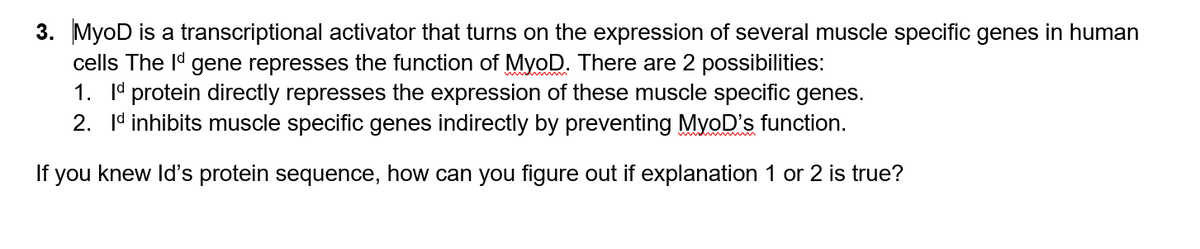 3. MyoD is a transcriptional activator that turns on the expression of several muscle specific genes in human
cells The Id gene represses the function of MyoD. There are 2 possibilities:
1. Id protein directly represses the expression of these muscle specific genes.
2. Id inhibits muscle specific genes indirectly by preventing MyoD's function.
If you knew Id's protein sequence, how can you figure out if explanation 1 or 2 is true?