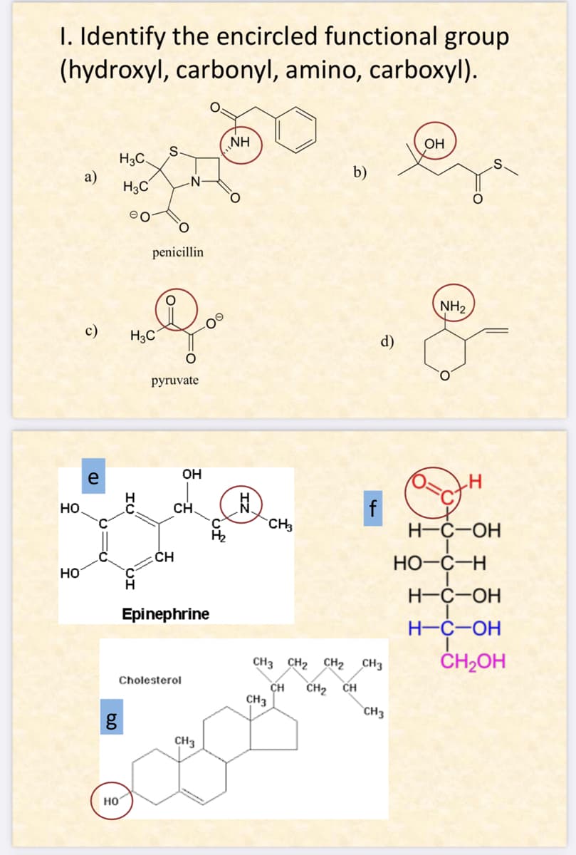 1. Identify the encircled functional group
(hydroxyl, carbonyl, amino, carboxyl).
HO
HO
a)
c)
=6
H3C
НО
g
H3C
eo
HU
H3C
HQ
S
penicillin
Qo
O
pyruvate
CH
CH
OH
Cholesterol
Epinephrine
CH3
NH
O
N
CH3
CH3
b)
f
d)
CH3 CH₂ CH₂ CH3
CH CH₂ CH
CH3
OH
NH₂
H
H-C-OH
HO-C-H
H-C-OH
H-C-OH
CH₂OH