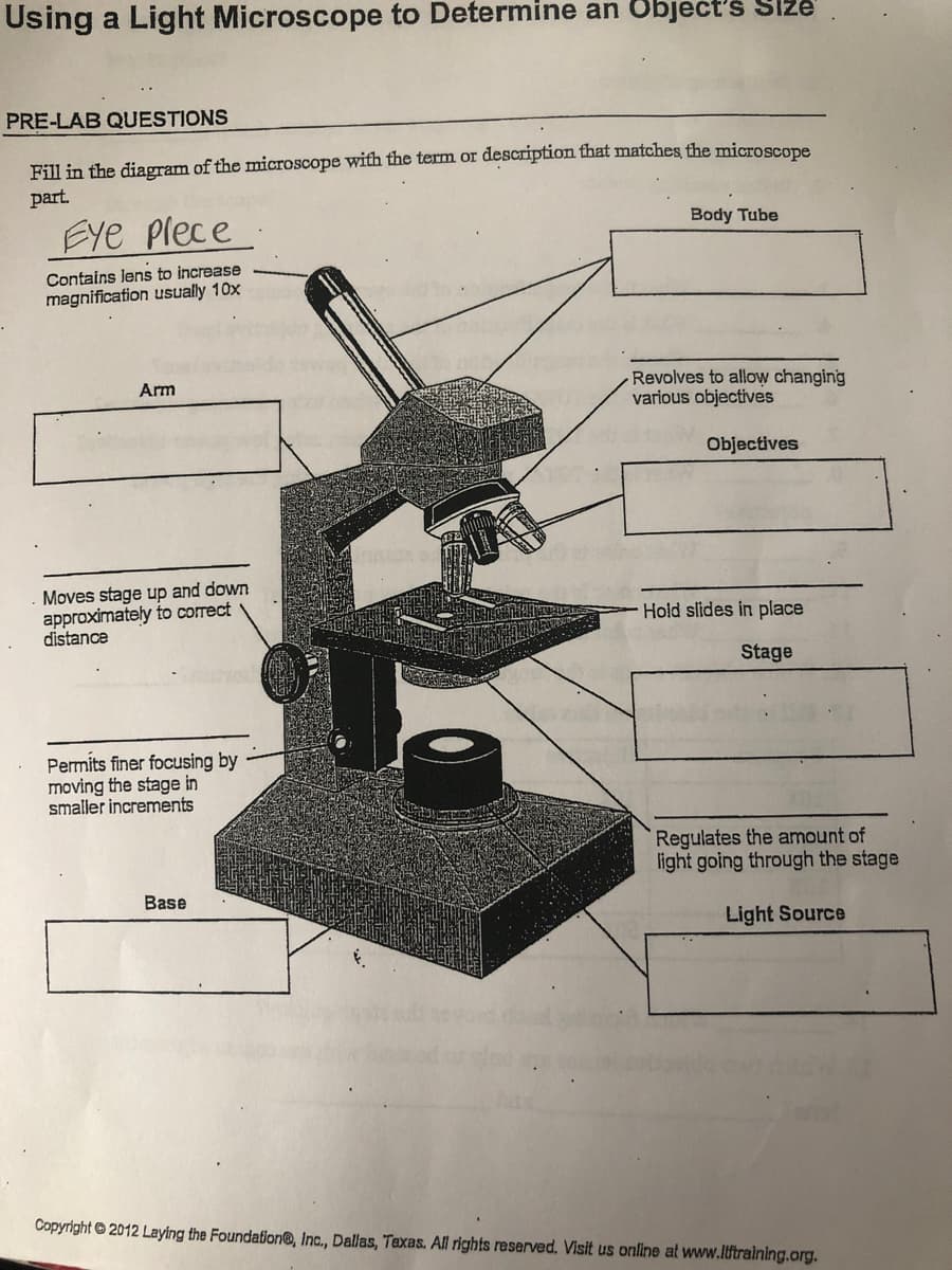 Using a Light Microscope to Determine an Object's SIZE
PRE-LAB QUESTIONS
Fill in the diagram of the microscope with the term or description that matches, the microscope
part.
Eye Plece
Body Tube
Contains lens to increase
magnification usually 10x
Revolves to allow changing
various objectives
Arm
Objectives
Moves stage up and down
approximately to correct
distance
Hold slides in place
Stage
Permits finer focusing by
moving the stage in
smaller increments
Regulates the amount of
light going through the stage
Base
Light Source
Copyright © 2012 Laying the Foundation®, Ic., Dallas, Texas. All rights reserved. Visit us online at www.lftralning.org.
