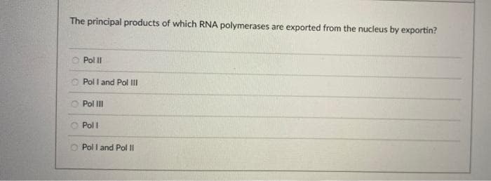 The principal products of which RNA polymerases are exported from the nucleus by exportin?
Pol II
Pol I and Pol III
Pol III
Pol I
Pol I and Pol II
