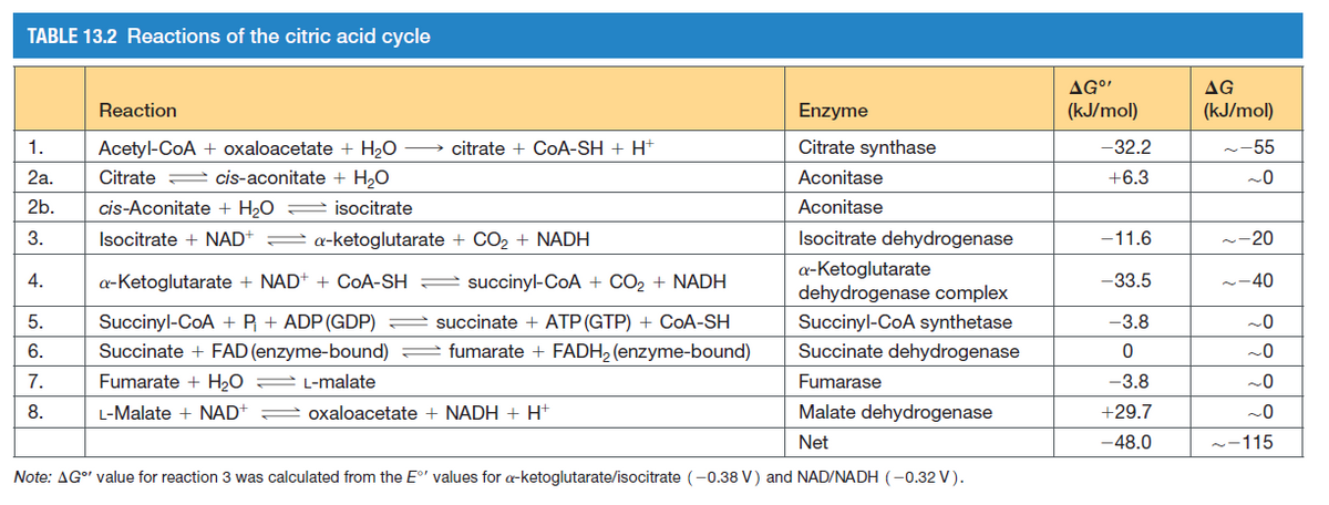 TABLE 13.2 Reactions of the citric acid cycle
AG"
AG
Reaction
Enzyme
(kJ/mol)
(kJ/mol)
1.
Acetyl-CoA + oxaloacetate + H2O
citrate + CoA-SH + H+
Citrate synthase
-32.2
--55
2а.
Citrate cis-aconitate + H,O
Aconitase
+6.3
2b.
cis-Aconitate + H20
isocitrate
Aconitase
3.
Isocitrate + NAD
a-ketoglutarate + CO2 + NADH
Isocitrate dehydrogenase
-11.6
--20
a-Ketoglutarate
dehydrogenase complex
4.
a-Ketoglutarate + NAD+ + CoA-SH =
succinyl-CoA + CO2 + NADH
-33.5
-40
5.
Succinyl-CoA + P + ADP (GDP)
succinate + ATP (GTP) + CoA-SH
Succinyl-CoA synthetase
-3.8
-0
6.
Succinate + FAD (enzyme-bound)
fumarate + FADH2 (enzyme-bound)
Succinate dehydrogenase
7.
Fumarate + H20
2 L-malate
Fumarase
-3.8
8.
L-Malate + NAD+
oxaloacetate + NADH + H+
Malate dehydrogenase
+29.7
Net
-48.0
115
Note: AG°' value for reaction 3 was calculated from the E' values for a-ketoglutarate/isocitrate (-0.38 V) and NAD/NADH (-0.32 V).
