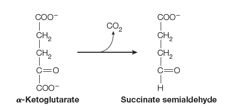 CO0-
|
CH,
CO0-
CO2
CH,
CH2
CH,
C=0
C=0
CO0-
H
a-Ketoglutarate
Succinate semialdehyde
