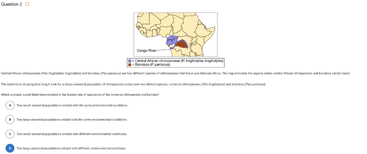 Question 2
Central African chimpanzees (Pan troglodytes troglodytes) and bonobos (Pan paniscus) are two different species of chimpanzees that live in sub-Saharan Africa. The map indicates the regions where central African chimpanzees and bonobos can be found.
The scientist is studying how long it took for a single ancestral population of chimpanzees to become two distinct species, common chimpanzees (Pan troglodytes) and bonobos (Pan paniscus).
Which scenario would likely have resulted in the fastest rate of speciation of the common chimpanzee and bonobo?
A
B
C
D
Two small ancestral populations existed with the same environmental conditions.
Congo River
Central African chimpanzees (P. troglodytes troglodytes)
= Bonobos (P. paniscus)
Two large ancestral populations existed with the same environmental conditions.
Two small ancestral populations existed with different environmental conditions.
Two large ancestral populations existed with different environmental conditions.