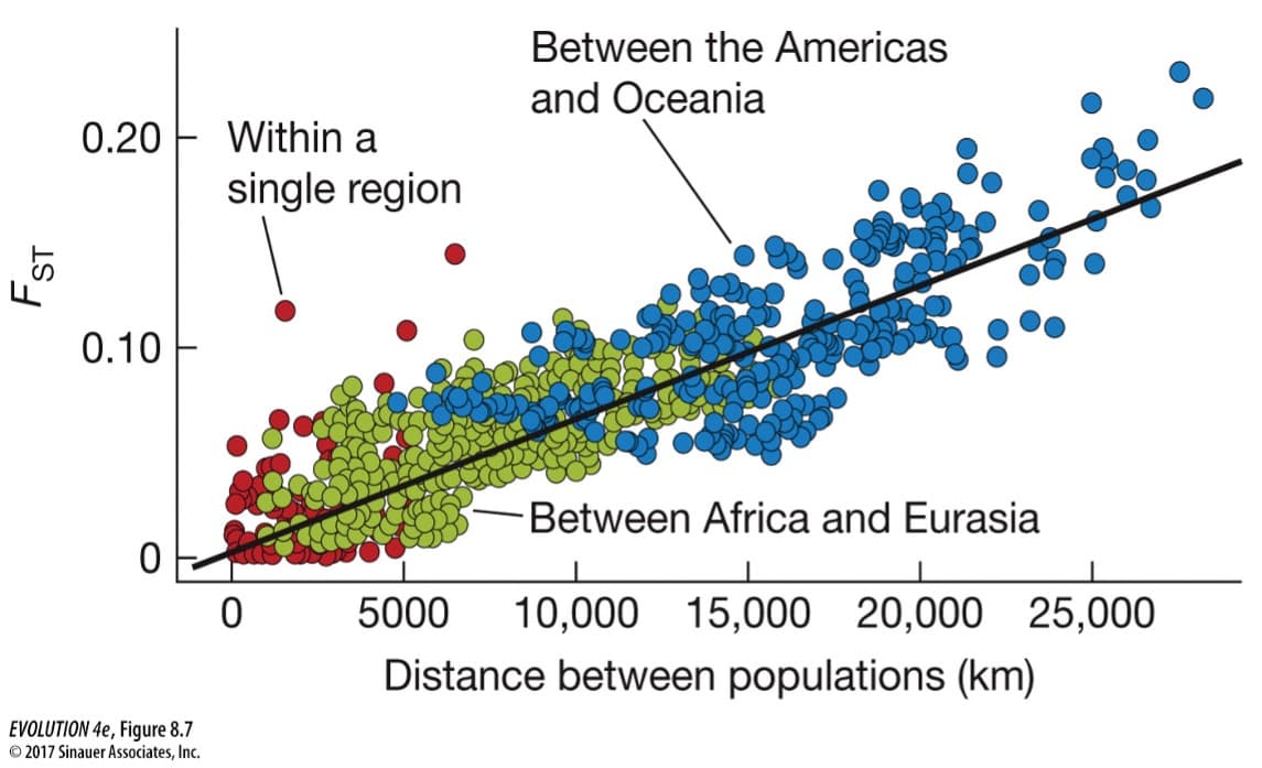 Between the Americas
and Oceania
0.20
Within a
single region
0.10
Between Africa and Eurasia
5000
10,000 15,000 20,000 25,000
Distance between populations (km)
EVOLUTION 4e, Figure 8.7
© 2017 Sinauer Associates, Inc.
