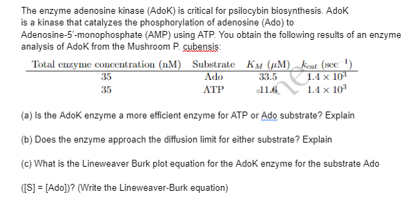 The enzyme adenosine kinase (AdoK) is critical for psilocybin biosynthesis. Adok
is a kinase that catalyzes the phosphorylation of adenosine (Ado) to
Adenosine-5'-monophosphate (AMP) using ATP. You obtain the following results of an enzyme
analysis of Adok from the Mushroom P. cubensis:
Total enzyme concentration (M) Substrate KM (M)
Ado
ATP
Ma
35
35
keat (sec ¹)
1.4 x 10³
1.4 x 10³
33.5
11.6
(a) Is the AdoKk enzyme a more efficient enzyme for ATP or Ado substrate? Explain
(b) Does the enzyme approach the diffusion limit for either substrate? Explain
(c) What is the Lineweaver Burk plot equation for the Adok enzyme for the substrate Ado
([S] = [Ado])? (Write the Lineweaver-Burk equation)