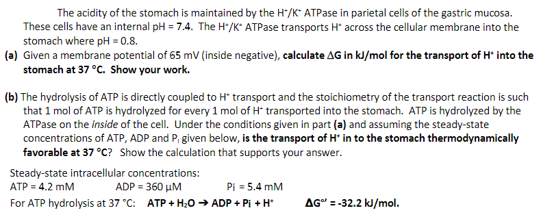 The acidity of the stomach is maintained by the H*/K* ATPase in parietal cells of the gastric mucosa.
These cells have an internal pH = 7.4. The H*/K* ATPase transports H* across the cellular membrane into the
stomach where pH = 0.8.
(a) Given a membrane potential of 65 mV (inside negative), calculate AG in kJ/mol for the transport of H* into the
stomach at 37 °C. Show your work.
(b) The hydrolysis of ATP is directly coupled to H* transport and the stoichiometry of the transport reaction is such
that 1 mol of ATP is hydrolyzed for every 1 mol of H* transported into the stomach. ATP is hydrolyzed by the
ATPase on the inside of the cell. Under the conditions given in part (a) and assuming the steady-state
concentrations of ATP, ADP and P₁ given below, is the transport of H* in to the stomach thermodynamically
favorable at 37 °C? Show the calculation that supports your answer.
Steady-state intracellular concentrations:
ATP = 4.2 mM
ADP = 360 μM
Pi = 5.4 mM
For ATP hydrolysis at 37 °C: ATP + H₂O → ADP + Pi + H+
AG" = -32.2 kJ/mol.