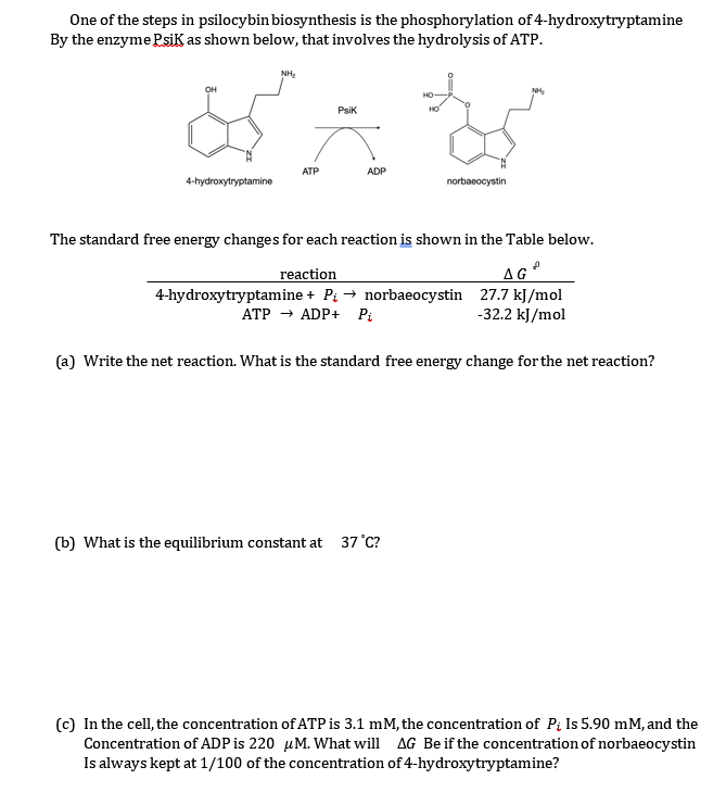 One of the steps in psilocybin biosynthesis is the phosphorylation of 4-hydroxytryptamine
By the enzyme Psik as shown below, that involves the hydrolysis of ATP.
NH₂
OH
HO
Psik
HO
of A&
ADP
4-hydroxytryptamine
ATP
norbaeocystin
The standard free energy changes for each reaction is shown in the Table below.
J
reaction
4-hydroxytryptamine + P₁ → norbaeocystin
ATP → ADP+ Pi
(b) What is the equilibrium constant at 37 °C?
AG
27.7 kJ/mol
-32.2 kJ/mol
(a) Write the net reaction. What is the standard free energy change for the net reaction?
(c) In the cell, the concentration of ATP is 3.1 mM, the concentration of P; Is 5.90 mM, and the
Concentration of ADP is 220 μM. What will AG Be if the concentration of norbaeocystin
Is always kept at 1/100 of the concentration of 4-hydroxytryptamine?