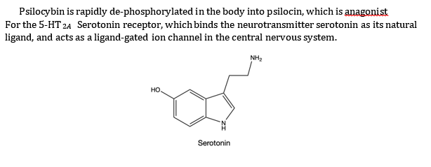 Psilocybin is rapidly de-phosphorylated in the body into psilocin, which is anagonist
For the 5-HT 24 Serotonin receptor, which binds the neurotransmitter serotonin as its natural
ligand, and acts as a ligand-gated ion channel in the central nervous system.
НО.
Serotonin
NH₂