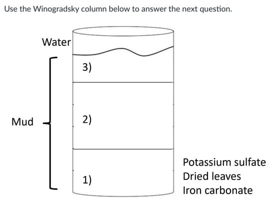 Use the Winogradsky column below to answer the next question.
Mud
Water
3)
2)
1)
Potassium sulfate
Dried leaves
Iron carbonate