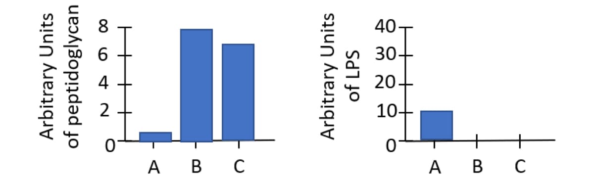 A B
с
A
B C
Arbitrary Units
of peptidoglycan
9 ∞
Arbitrary Units
of LPS
888
10-
