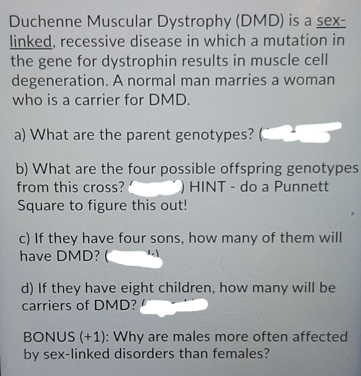 Duchenne Muscular Dystrophy (DMD) is a sex-
linked, recessive disease in which a mutation in
the gene for dystrophin results in muscle cell
degeneration. A normal man marries a woman
who is a carrier for DMD.
a) What are the parent genotypes?
b) What are the four possible offspring genotypes
from this cross? HINT - do a Punnett
Square to figure this out!
c) If they have four sons, how many of them will
have DMD? (
d) If they have eight children, how many will be
carriers of DMD?
BONUS (+1): Why are males more often affected
by sex-linked disorders than females?
