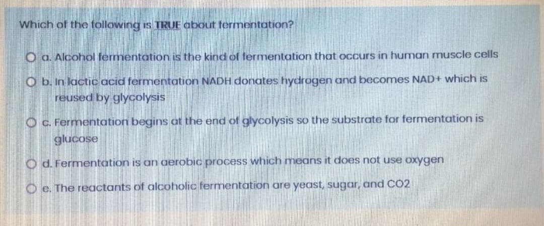 Which of the following is TRUE about termentation?
O a. Alcohol fermentation is the kind of fermentation that occurs in human muscle cells
O b. In lactic acid fermentation NADH donates hydrogen and becomes NAD+ which is
reused by glycolysis
O c. Fermentation begins at the end of glycolysis so the substrate for fermentation is
glucose
O d. Fermentation is an aerobic process which means it does not use oxygen
O e. The reactants of alcoholic fermentation are yeast, sugar, and CO2
