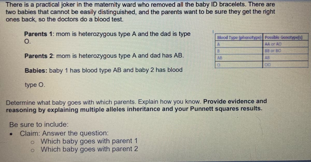 There is a practical joker in the maternity ward who removed all the baby ID bracelets. There are
two babies that cannot be easily distinguished, and the parents want to be sure they get the right
ones back, so the doctors do a blood test.
Parents 1: mom is heterozygous type A and the dad is type
O.
Blood Type (phenotypel Posible Genotype(s)
AA of AD
A
88 o B0
Parents 2: mom is heterozygous type A and dad has AB.
AS
AB
00
Babies: baby 1 has blood type AB and baby 2 has blood
type O.
Determine what baby goes with which parents. Explain how you know. Provide evidence and
reasoning by explaining multiple alleles inheritance and your Punnett squares results.
Be sure to include:
Claim: Answer the question:
Which baby goes with parent 1
Which baby goes with parent 2
