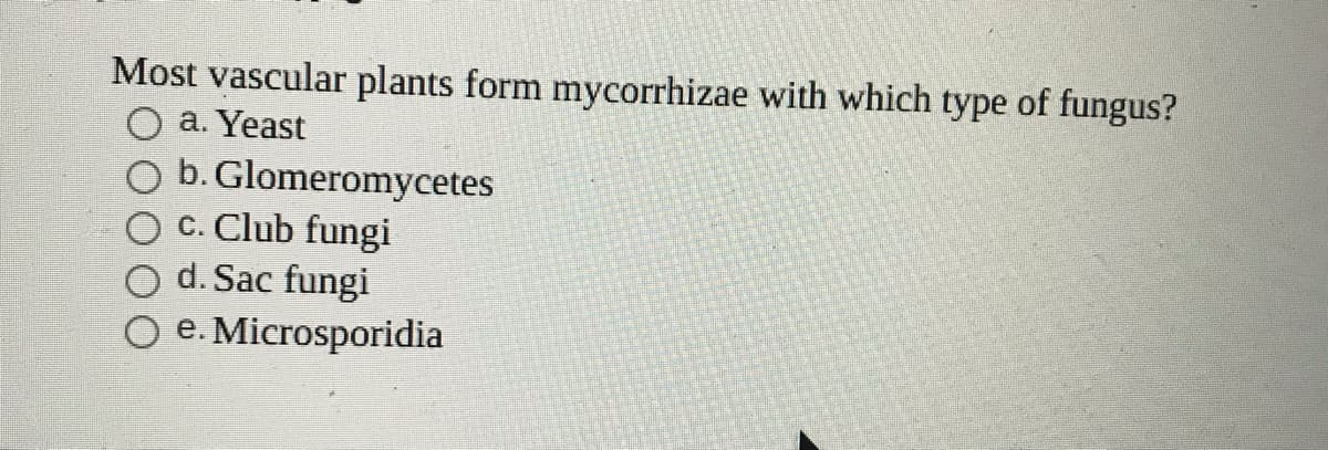 Most vascular plants form mycorrhizae with which type of fungus?
a. Yeast
b. Glomeromycetes
c. Club fungi
d. Sac fungi
O e. Microsporidia
