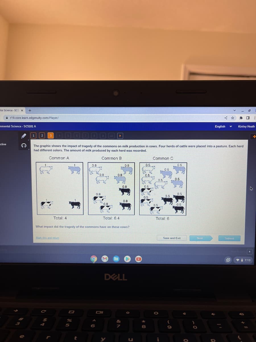 ital Science-SC5 x
+
ctive
r19.core.learn.edgenuity.com/player/
nmental Science - SC5181 A
1
2 3 4 5 6 7 8
Mark this and retum
C
%
5
The graphic shows the impact of tragedy of the commons on milk production in cows. Four herds of cattle were placed into a pasture. Each herd
had different colors. The amount of milk produced by each herd was recorded.
Common A
Common B
0.8
t
0:
O
0.8
0.8
Total: 4
Total: 6.4
What impact did the tragedy of the commons have on these cows?
A
Oll
10
0.8
y
0.8
0.8
&
7
0.8
DELL
U
▸
0.5
0.5
0.5
0.5
★
*
8
Common C
0.5
0.5
¡
0.5
Total: 6
0.5
9
0.5
0.5
0.5
Save and Exit
2
O
Next
O
V
< ★
English V
Submit
19
* 0
Kinley Heath
t
▸
+
7:13