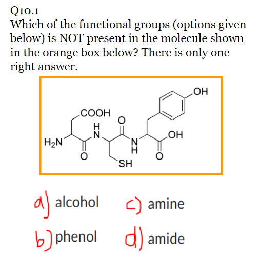 Q10.1
Which of the functional groups (options given
below) is NOT present in the molecule shown
in the orange box below? There is only one
right answer.
H₂N
COOH
H
N.
a) alcohol
aj
b) phenol
N
H
SH
OH
<) amine
d) amide
OH