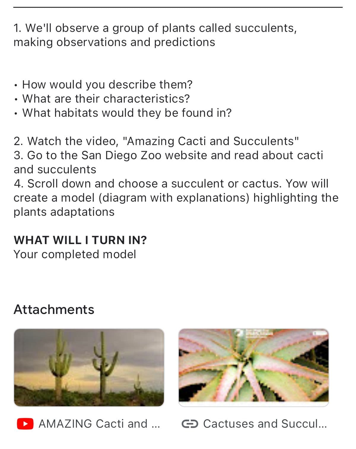 1. We'll observe a group of plants called succulents,
making observations and predictions
How would you describe them?
What are their characteristics?
• What habitats would they be found in?
2. Watch the video, "Amazing Cacti and Succulents"
3. Go to the San Diego Zoo website and read about cacti
and succulents
4. Scroll down and choose a succulent or cactus. Yow will
create a model (diagram with explanations) highlighting the
plants adaptations
WHAT WILL I TURN IN?
Your completed model
Attachments
AMAZING Cacti and ...
Cactuses and Succul...