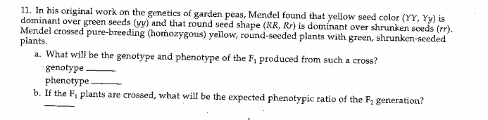 11. In his original work on the genetics of garden peas, Mendel found that yellow seed color (YY, Yy) is
dominant over green seeds (yy) and that round seed shape (RR, Rr) is dominant over shrunken seeds (rr).
Mendel crossed pure-breeding (homozygous) yellow, round-seeded plants with green, shrunken-seeded
plants.
a. What will be the genotype and phenotype of the F1 produced from such a cross?
genotype.
phenotype.
b. If the F, plants are crossed, what will be the expected phenotypic ratio of the F2 generation?
