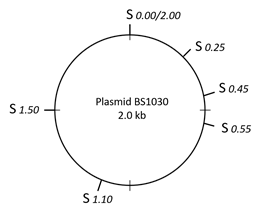 S 1.50
S 0.00/2.00
Plasmid BS1030
2.0 kb
S 1.10
S 0.25
$ 0.45
S 0.55