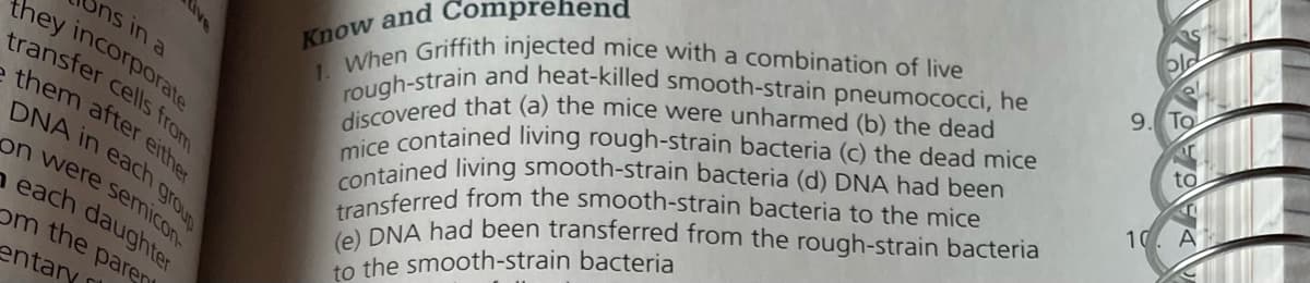 Ons in a
they incorporate
transfer cells from
e them after either
DNA in each group
on were semicon-
each daughter
om the paren
entary
Know and Comprehend
1. When Griffith injected mice with a combination of live
rough-strain and heat-killed smooth-strain pneumococci, he
discovered that (a) the mice were unharmed (b) the dead
mice contained living rough-strain bacteria (c) the dead mice
contained living smooth-strain bacteria (d) DNA had been
transferred from the smooth-strain bacteria to the mice
(e) DNA had been transferred from the rough-strain bacteria
to the smooth-strain bacteria
to
10. A