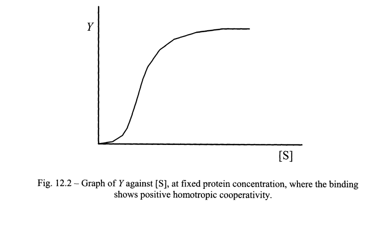 Y
[S]
Fig. 12.2 - Graph of Y against [S], at fixed protein concentration, where the binding
shows positive homotropic cooperativity.