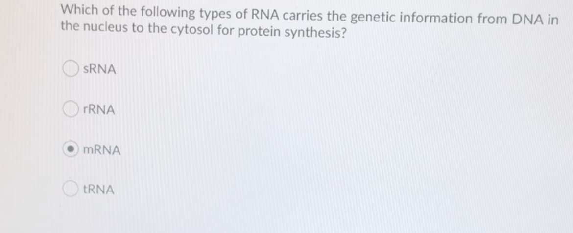 Which of the following types of RNA carries the genetic information from DNA in
the nucleus to the cytosol for protein synthesis?
SRNA
rRNA
MRNA
TRNA
