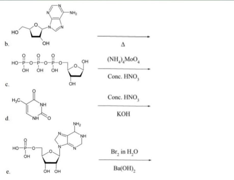 NH2
HO
b.
он
он
(NH,),MoO,
HO-P-O-P-o-P-o
OH
OH
OH
Conc. HNO,
с.
Conc. HNO,
H3C.
NH
КОН
d.
NH
NH2
NH
HO-P-O-
Br, in H,O
он
Ba(OH),
е.
он он
