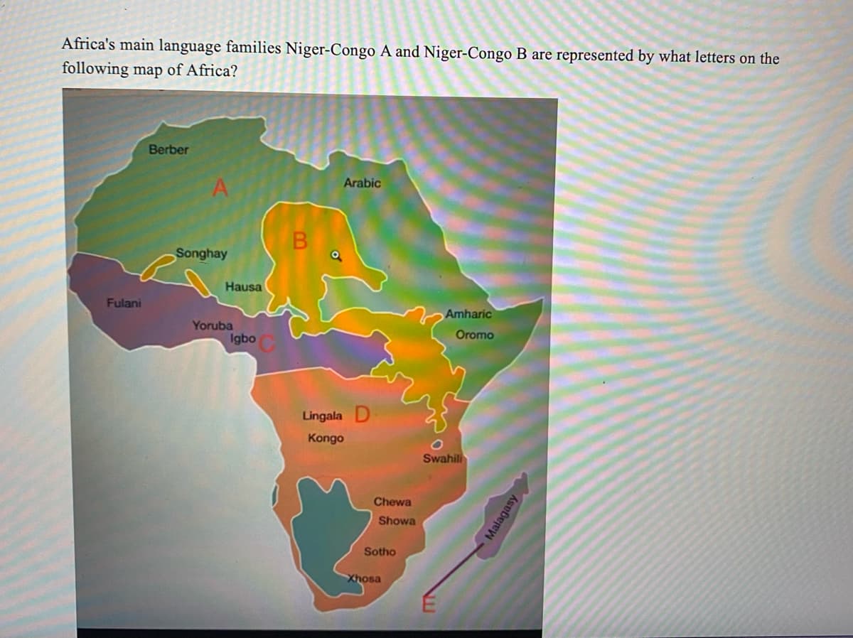 Africa's main language families Niger-Congo A and Niger-Congo B are represented by what letters on the
following map of Africa?
Fulani
Berber
A
Songhay
Hausa
Yoruba
Igbo
B
Arabic
Lingala D
Kongo
Chewa
Showa
Sotho
Xhosa
Amharic
Oromo
Swahili
Malagasy