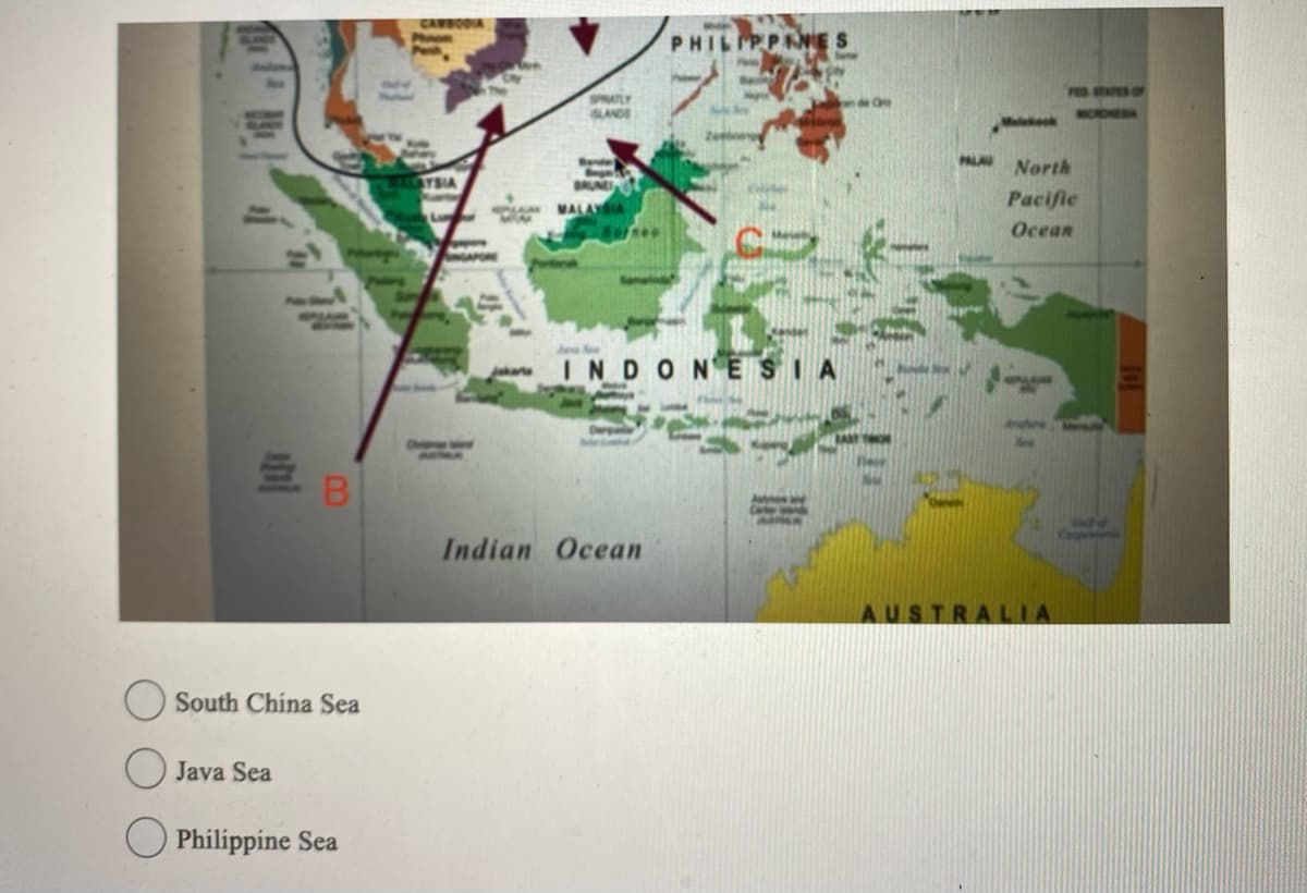 B
South China Sea
Java Sea
Philippine Sea
BODIA
LALAYSIA
L
SPRATLY
SLANDS
MALAYSIA
PHILIPPINES
INDONESIA
Indian Ocean
A
Melkook
PALA North
Pacific
Ocean
AUSTRALIA