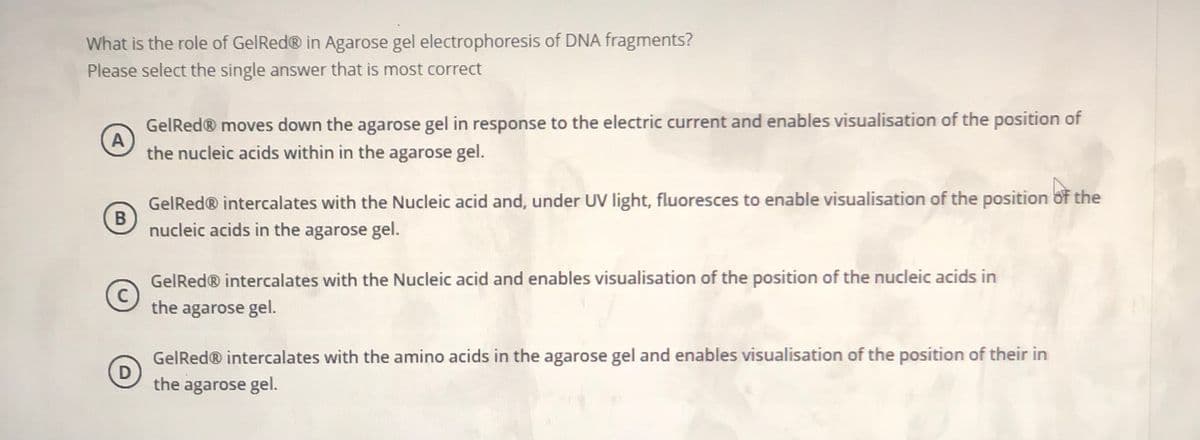 What is the role of GelRed® in Agarose gel electrophoresis of DNA fragments?
Please select the single answer that is most correct
GelRed® moves down the agarose gel in response to the electric current and enables visualisation of the position of
A
the nucleic acids within in the agarose gel.
GelRed® intercalates with the Nucleic acid and, under UV light, fluoresces to enable visualisation of the position of the
nucleic acids in the agarose gel.
GelRed® intercalates with the Nucleic acid and enables visualisation of the position of the nucleic acids in
C
the agarose gel.
GelRed® intercalates with the amino acids in the agarose gel and enables visualisation of the position of their in
D
the agarose gel.
