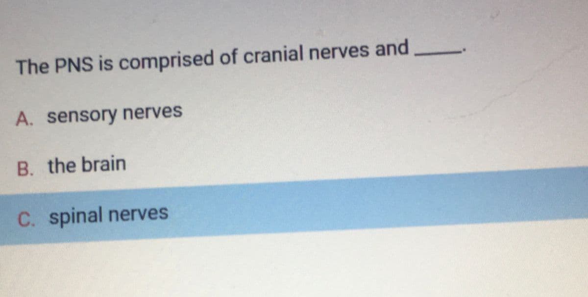 The PNS is comprised of cranial nerves and
A. sensory nerves
B. the brain
C. spinal nerves