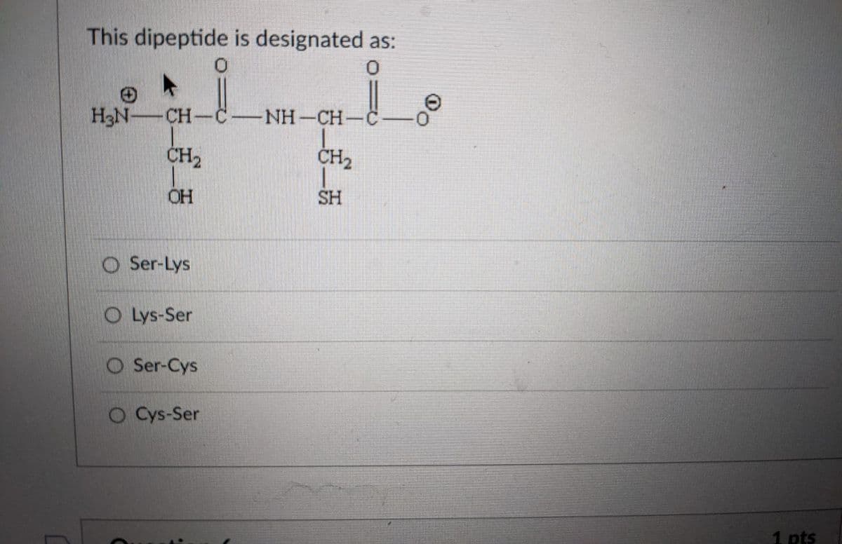 This dipeptide is designated as:
H3N-CH-C-NH-CH-C
ČH2
CH2
OH
SH
O Ser-Lys
O Lys-Ser
O Ser-Cys
O Cys-Ser
1 pts
